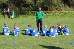 九游娱乐在线-五大联赛是否提升边路轮换参与战术决策比重，五大联赛可以换5人